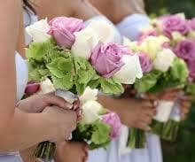  Wedding Planner